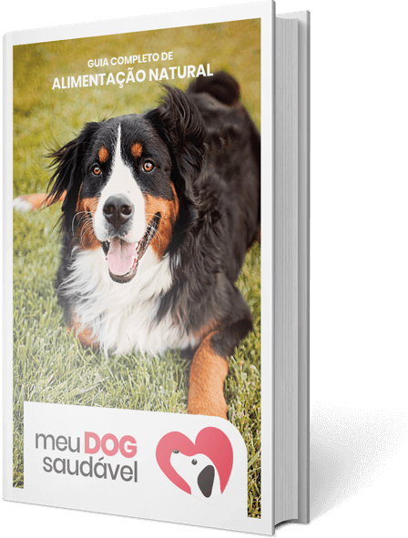 Capa eBook Meu DOG Saudável