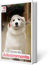 eBook Dicas de Adestramento