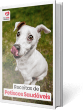 eBook Receitas de Petiscos Saudáveis